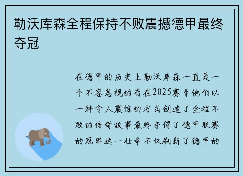勒沃库森全程保持不败震撼德甲最终夺冠 勒沃库森全程保持不败震撼德甲最终夺冠
